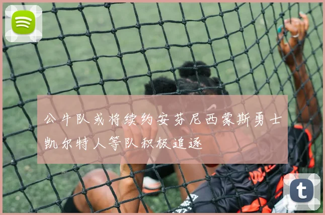 公牛队或将续约安芬尼西蒙斯勇士凯尔特人等队积极追逐